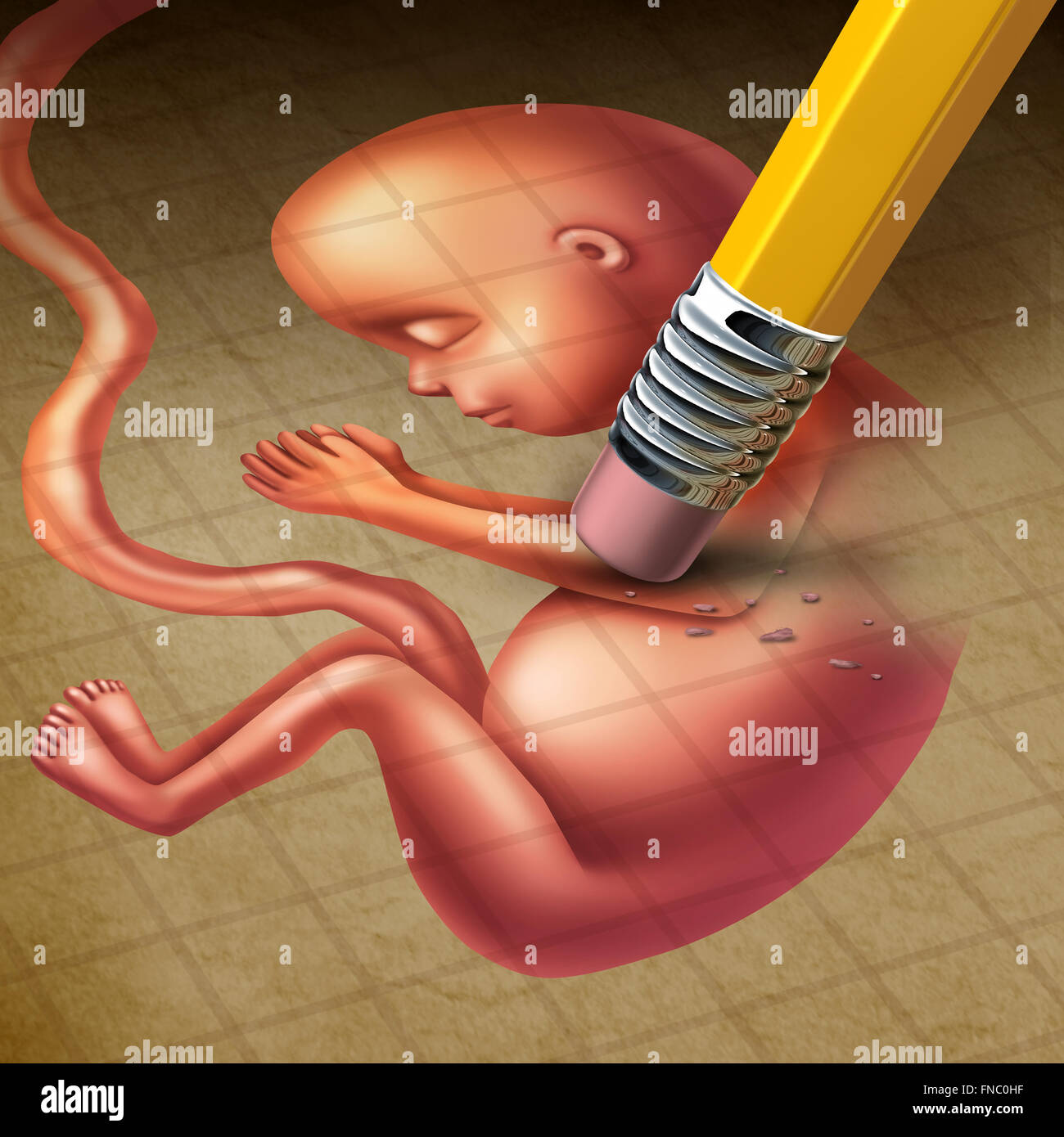 L'avortement ou fausse couche medical concept comme un fœtus dans un utérus  humain enceintes d'être effacées par un crayon comme la santé génésique  Photo Stock - Alamy