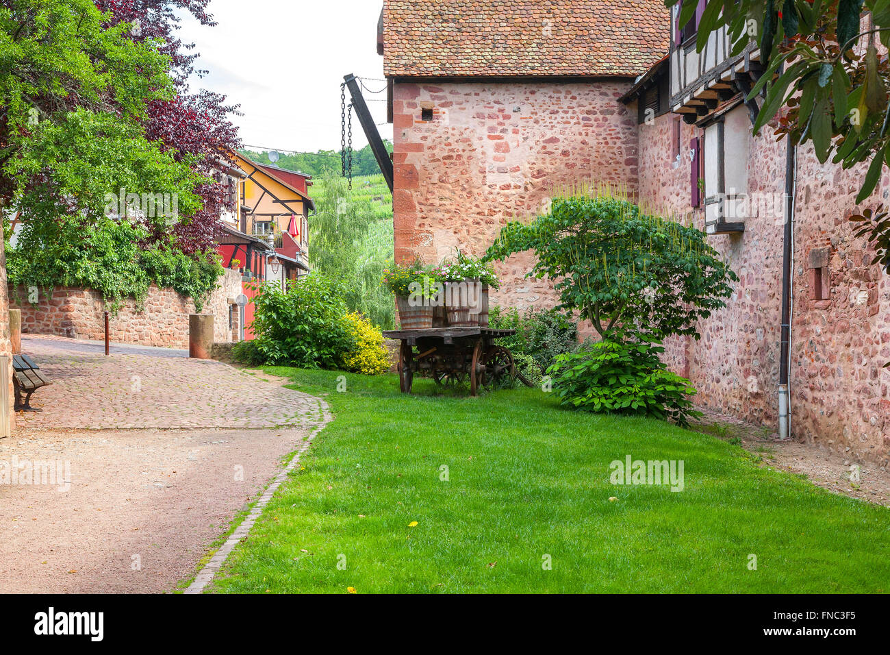 Ville fortifiée de mur,Riquewihr Alsace, France Banque D'Images