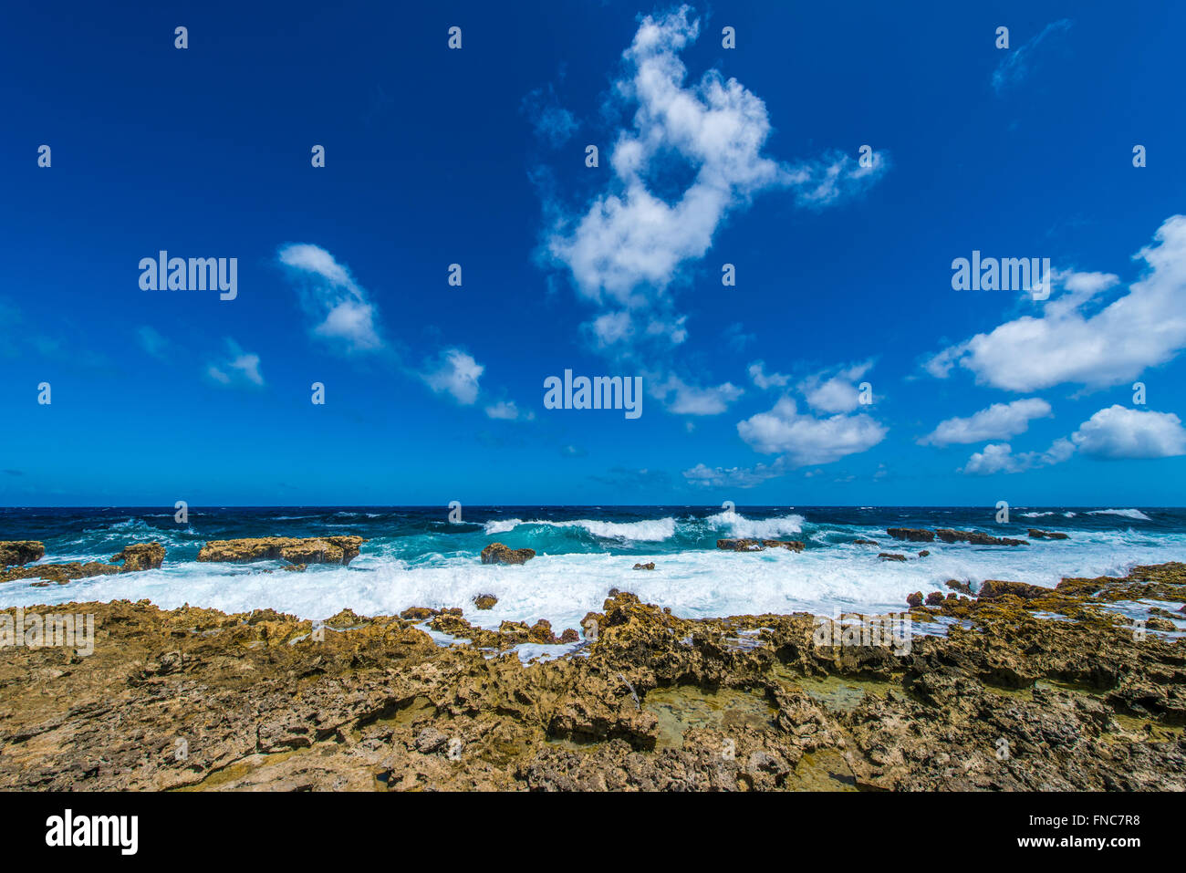 Joli Bonaire avec ses beaux paysages, plages et récifs incroyables. Un paradis pour les sports nautiques et les amoureux de la nature Banque D'Images