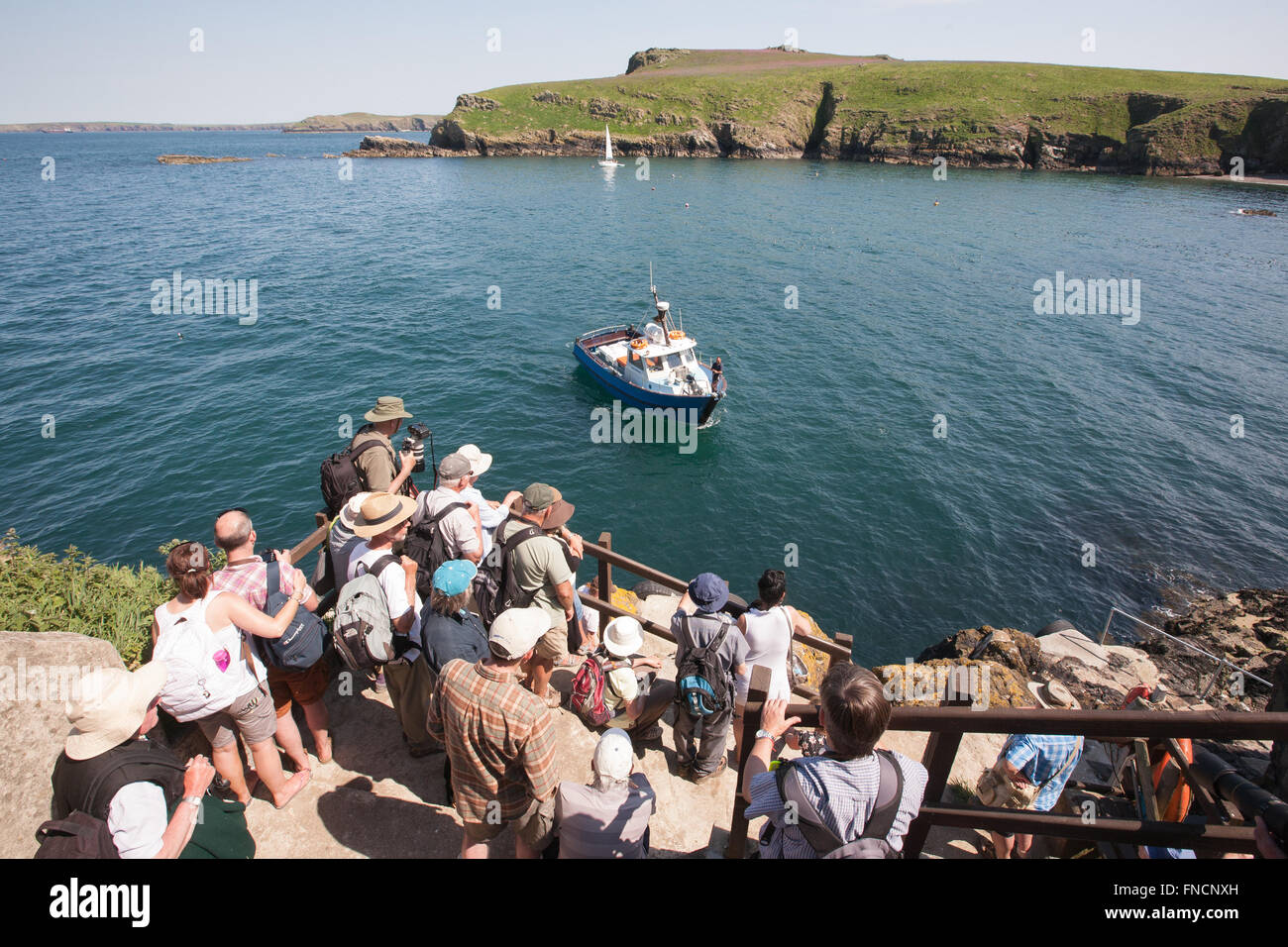 Les visiteurs de l'île de Skomer en ordre décroissant comme suit pour board voile Retour à la terre ferme après avoir visité les macareux sur l'île de Skomer,Pembrokeshire. Banque D'Images