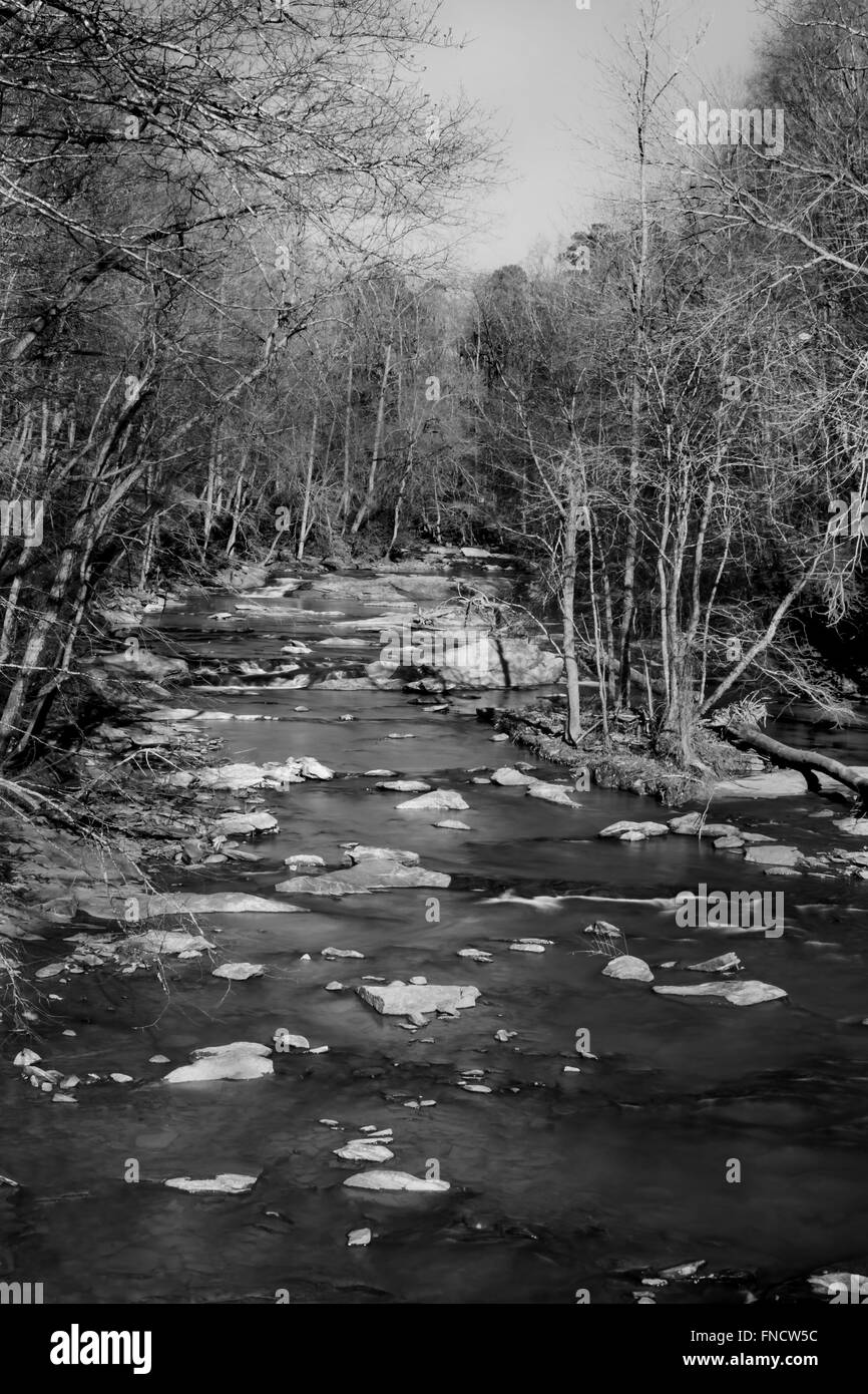 L'hiver noir et blanc sur sope creek Banque D'Images