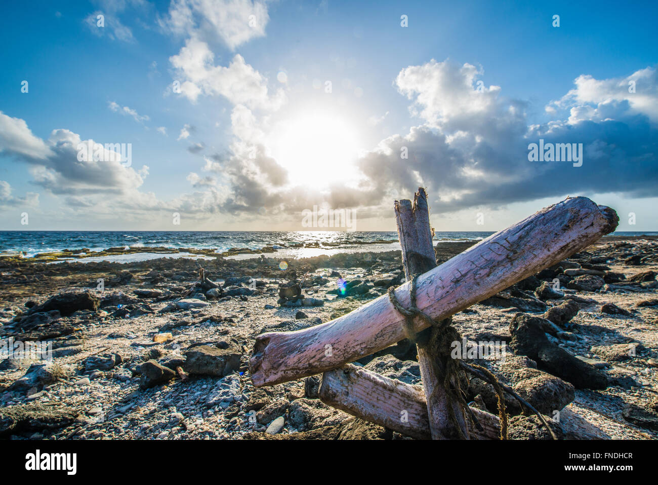Les troncs nus sur la plage de Bonaire le matin avec le soleil levant sining sur eux. Banque D'Images