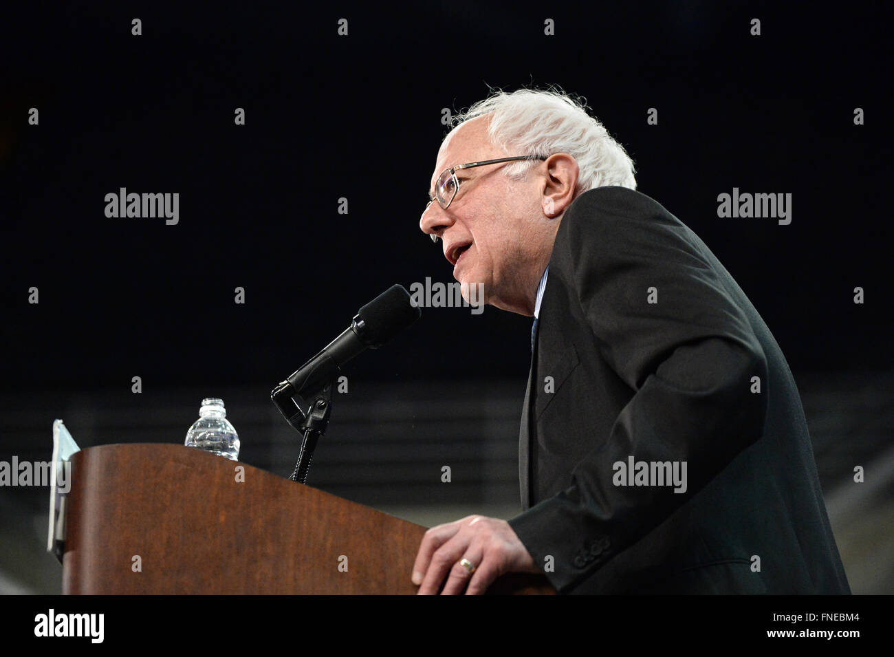 Saint Charles, MO, USA - Le 14 mars 2016 : Le sénateur et le candidat démocrate Bernie Sanders parle lors d'un rassemblement électoral à la famille Arena de Saint Charles, Missouri. Banque D'Images