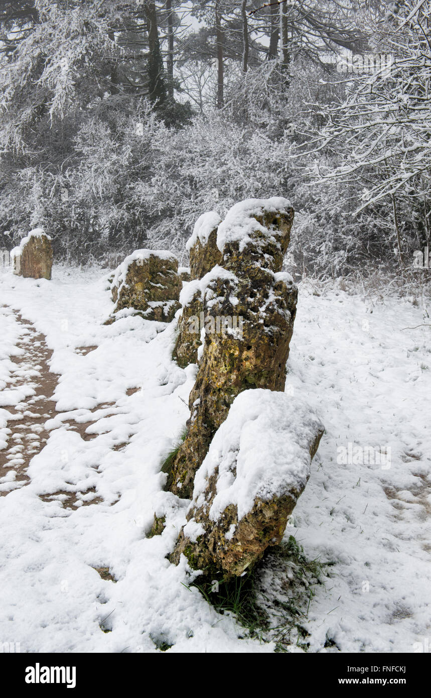 Le Rollright stones recouverts de neige en hiver. Oxfordshire, Angleterre Banque D'Images