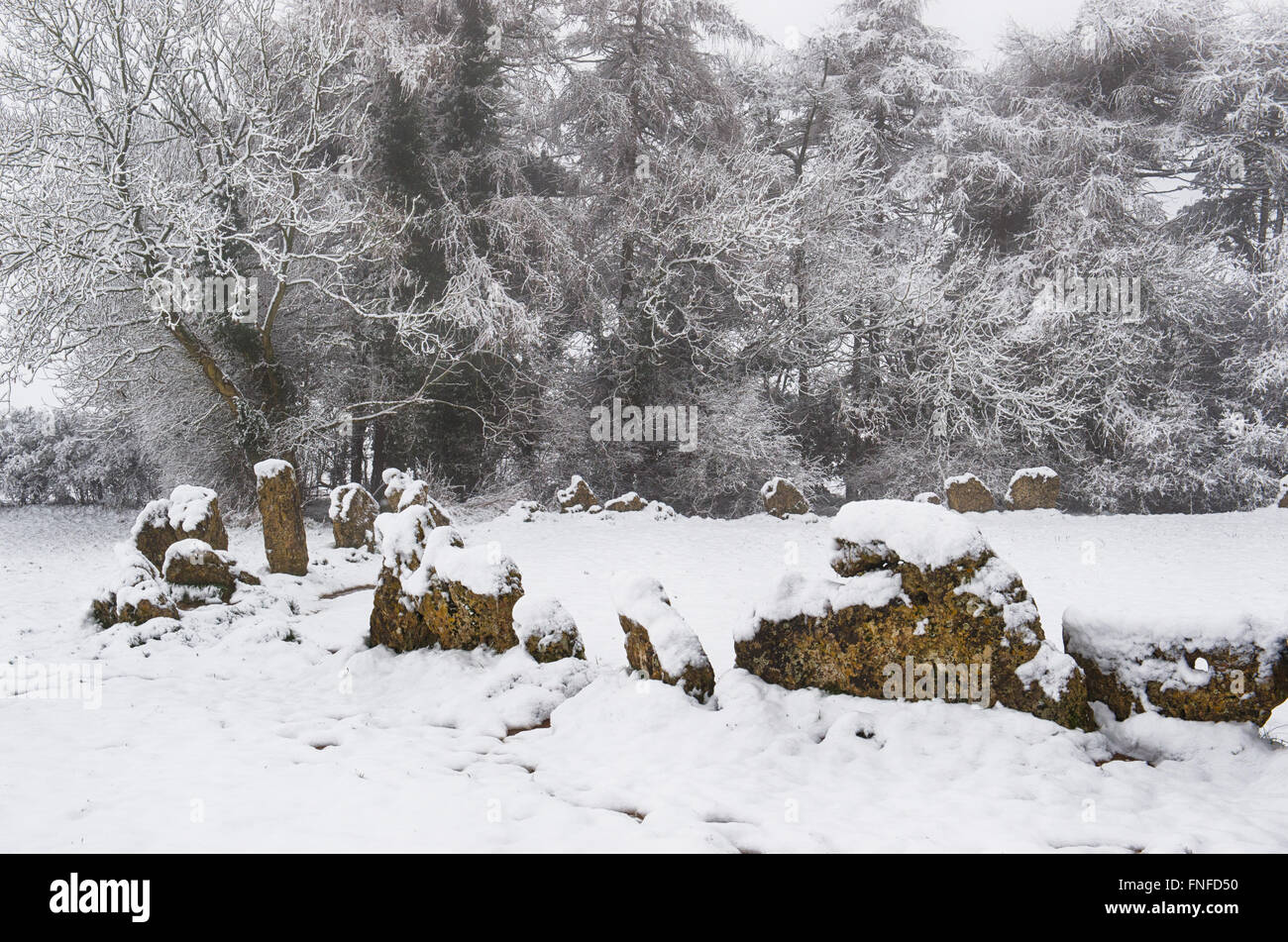 Le Rollright stones recouverts de neige en hiver. Oxfordshire, Angleterre Banque D'Images