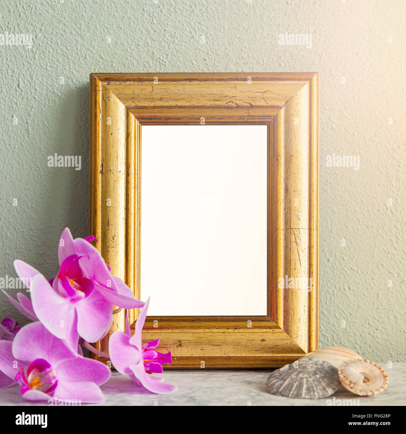 Image d'un cadre doré, scène maquette d'orchidées et les coquillages. Banque D'Images
