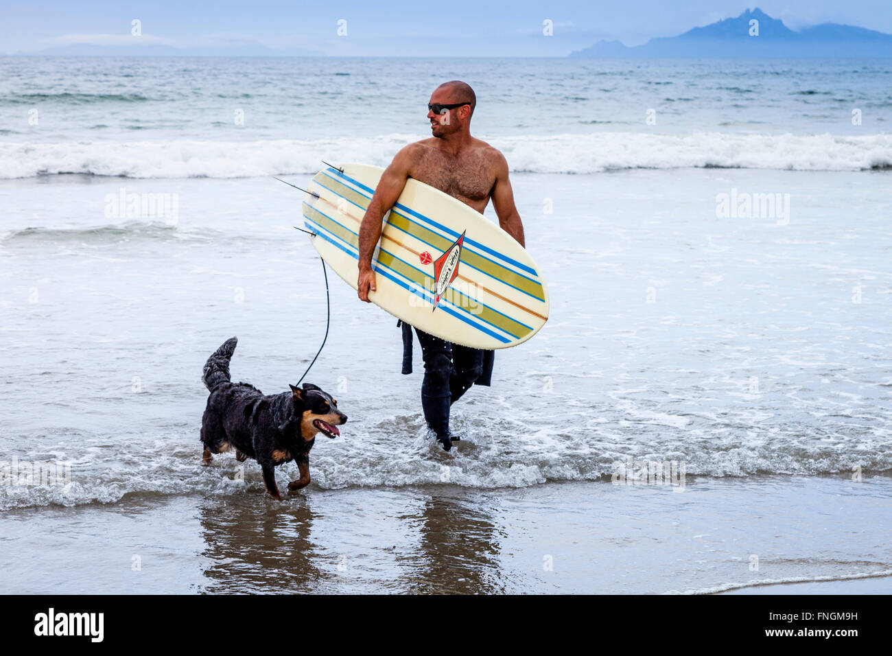Un jeune homme va surf, waipu cove, waipu, Northland, Nouvelle-Zélande Banque D'Images