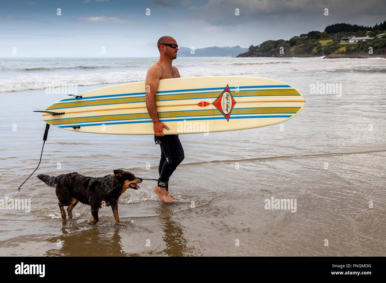 Un jeune homme va surf, waipu cove, waipu, Northland, Nouvelle-Zélande Banque D'Images