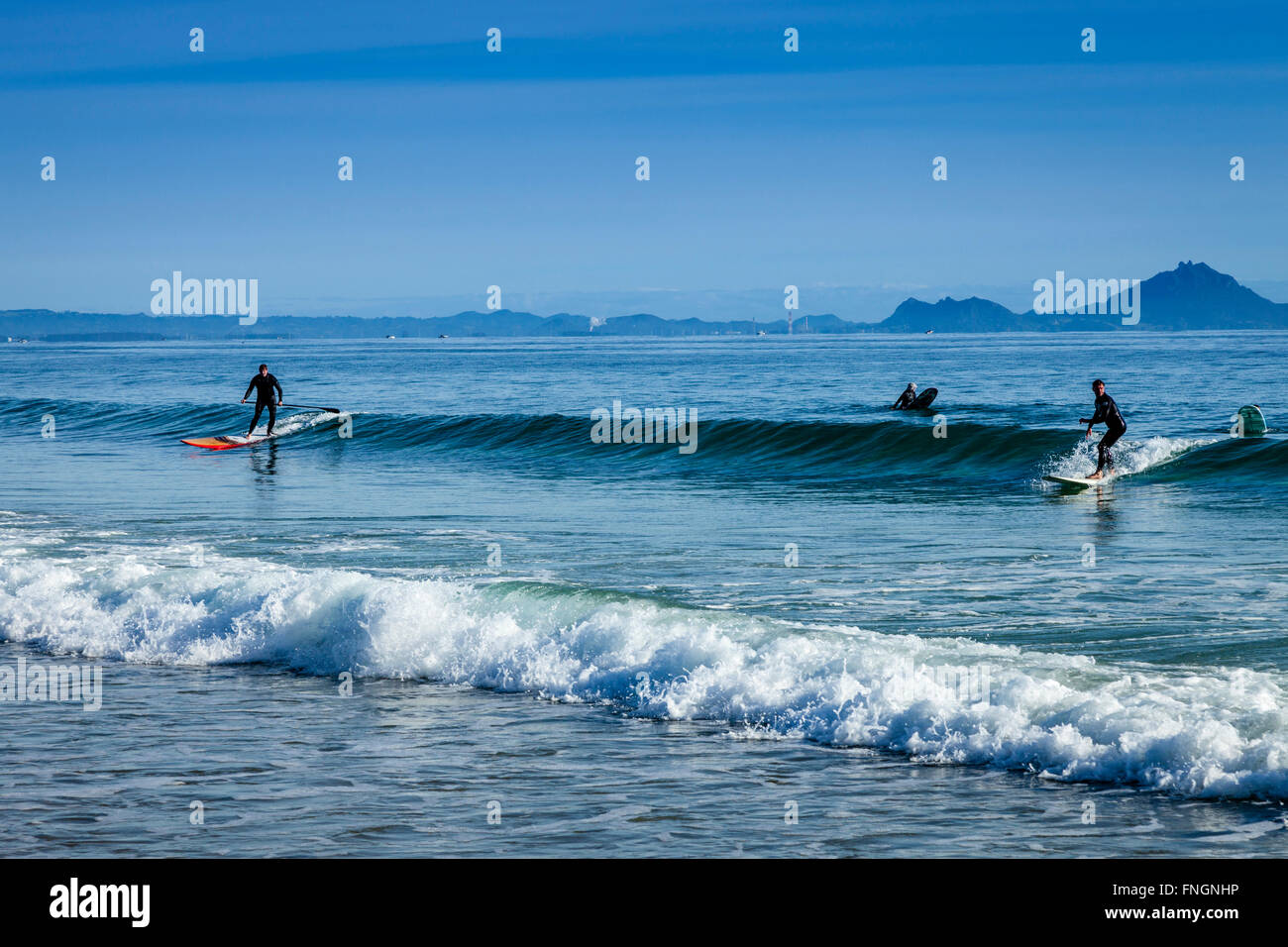 La population locale le surf, Waipu Cove, Waipu, Northland, Nouvelle-Zélande Banque D'Images