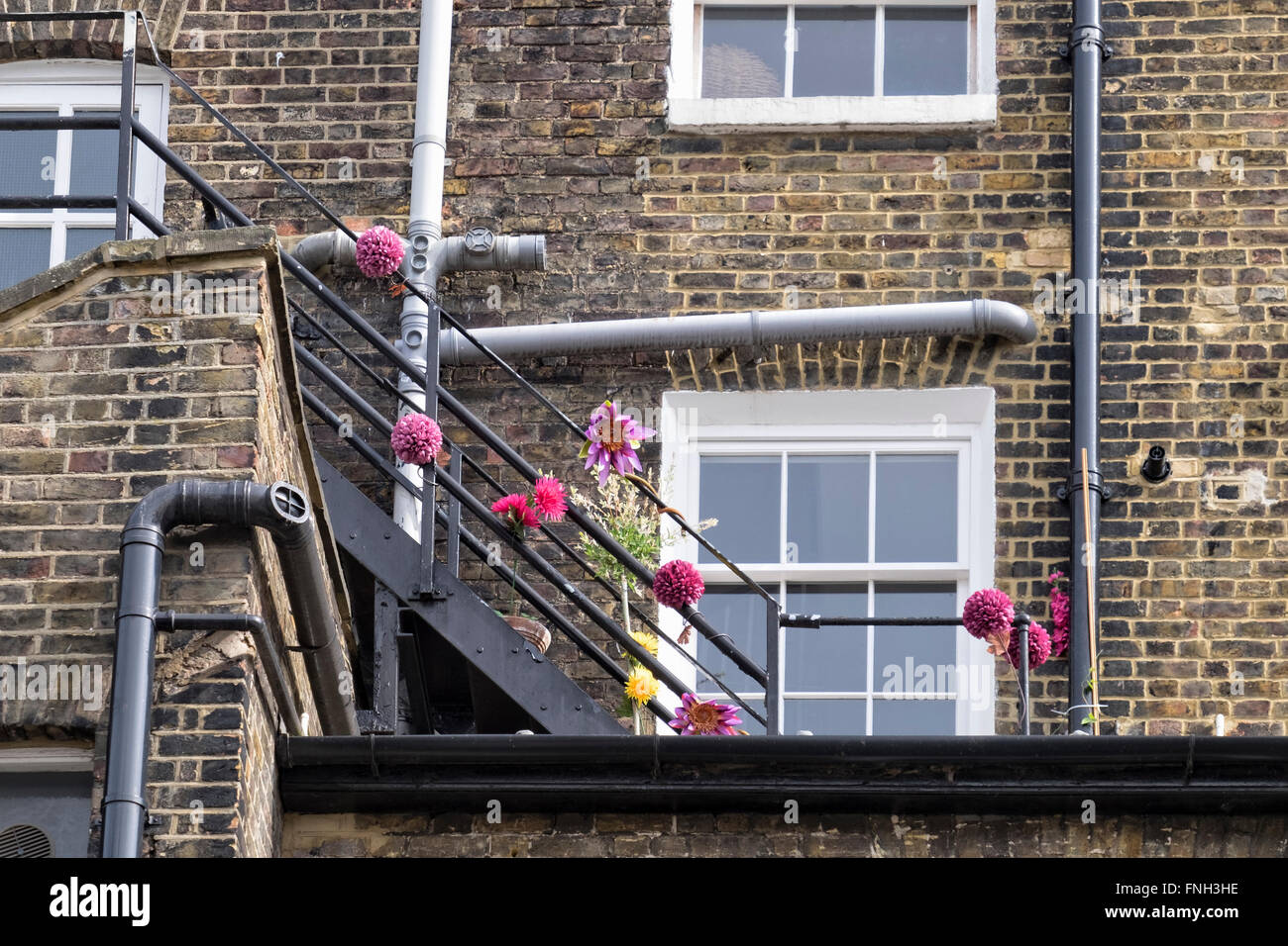 Le printemps est là - fire escape garde-corps de bâtiment décoré avec des fleurs coupées, Londres, Greenwich Banque D'Images