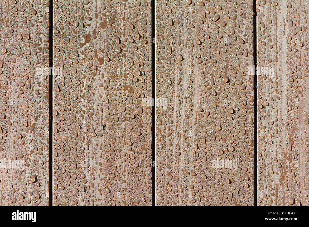 Gouttes d'eau sur des panneaux de clôture en bois Banque D'Images