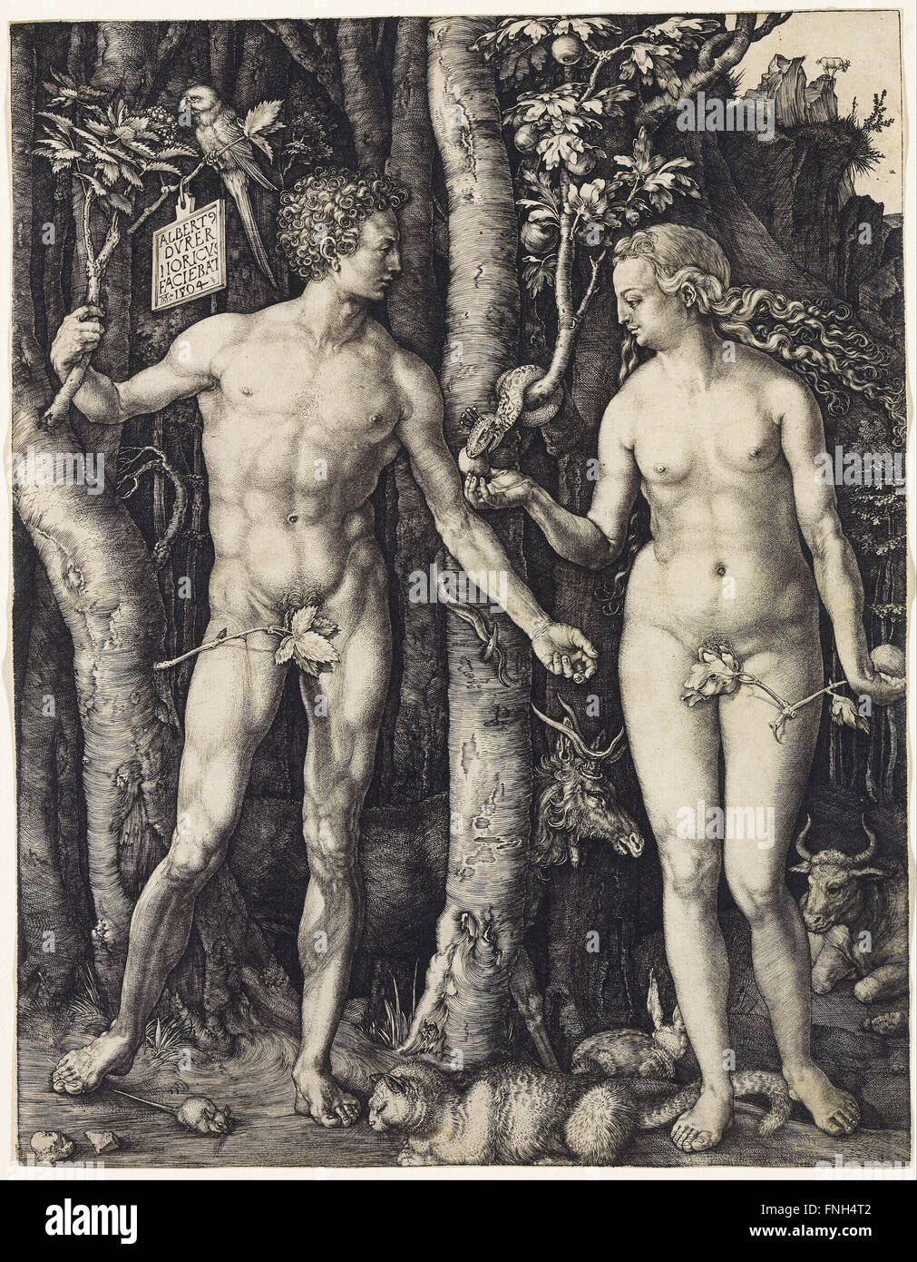 Albrecht durer - Adam et Eve Banque D'Images