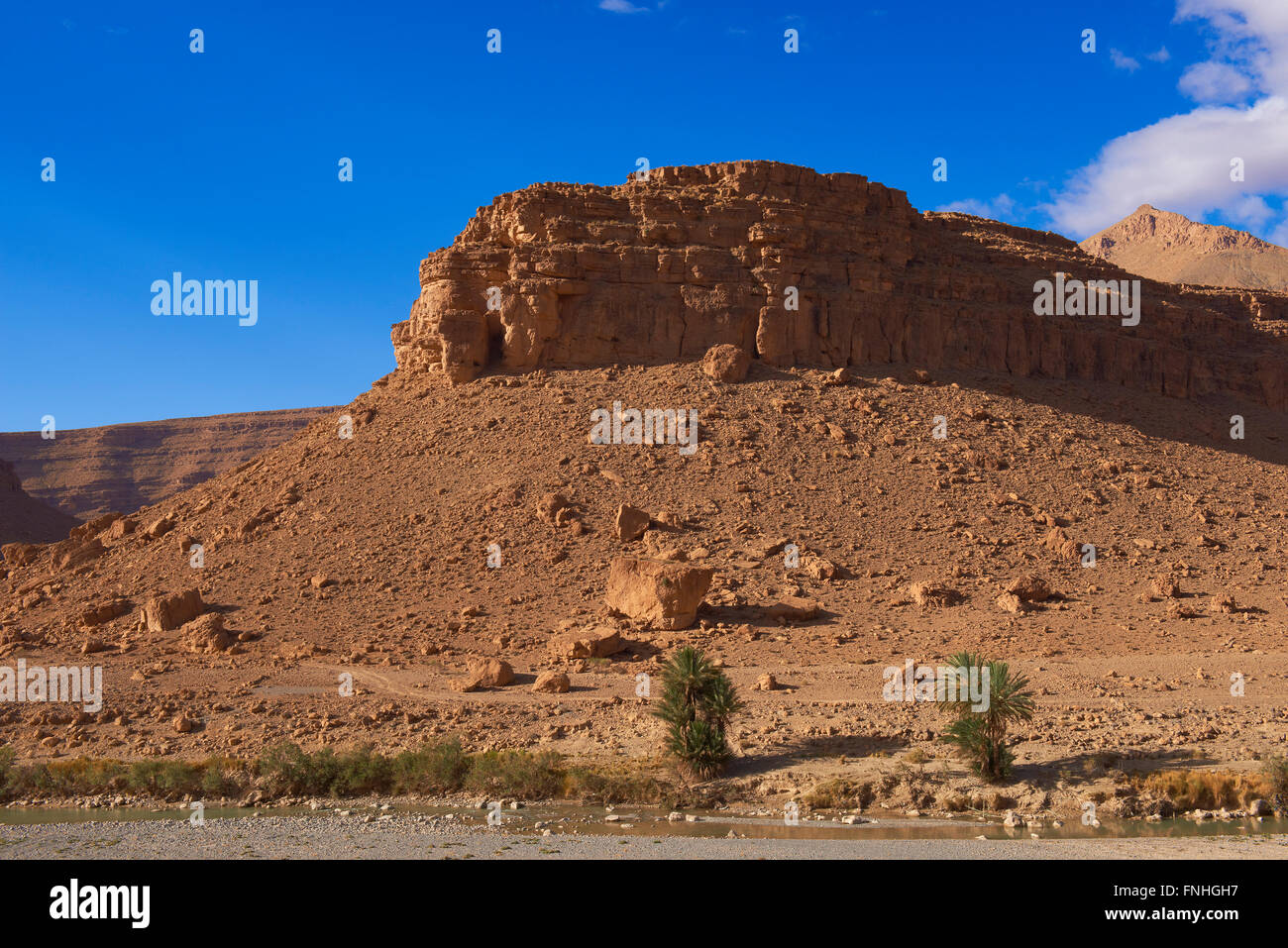 La rivière de Ziz, Oued Ziz, gorges du ZIZ, Vallée de Ziz Ziz, Gorges, région du Tafilalet, au Maroc, Afrique du Nord Banque D'Images