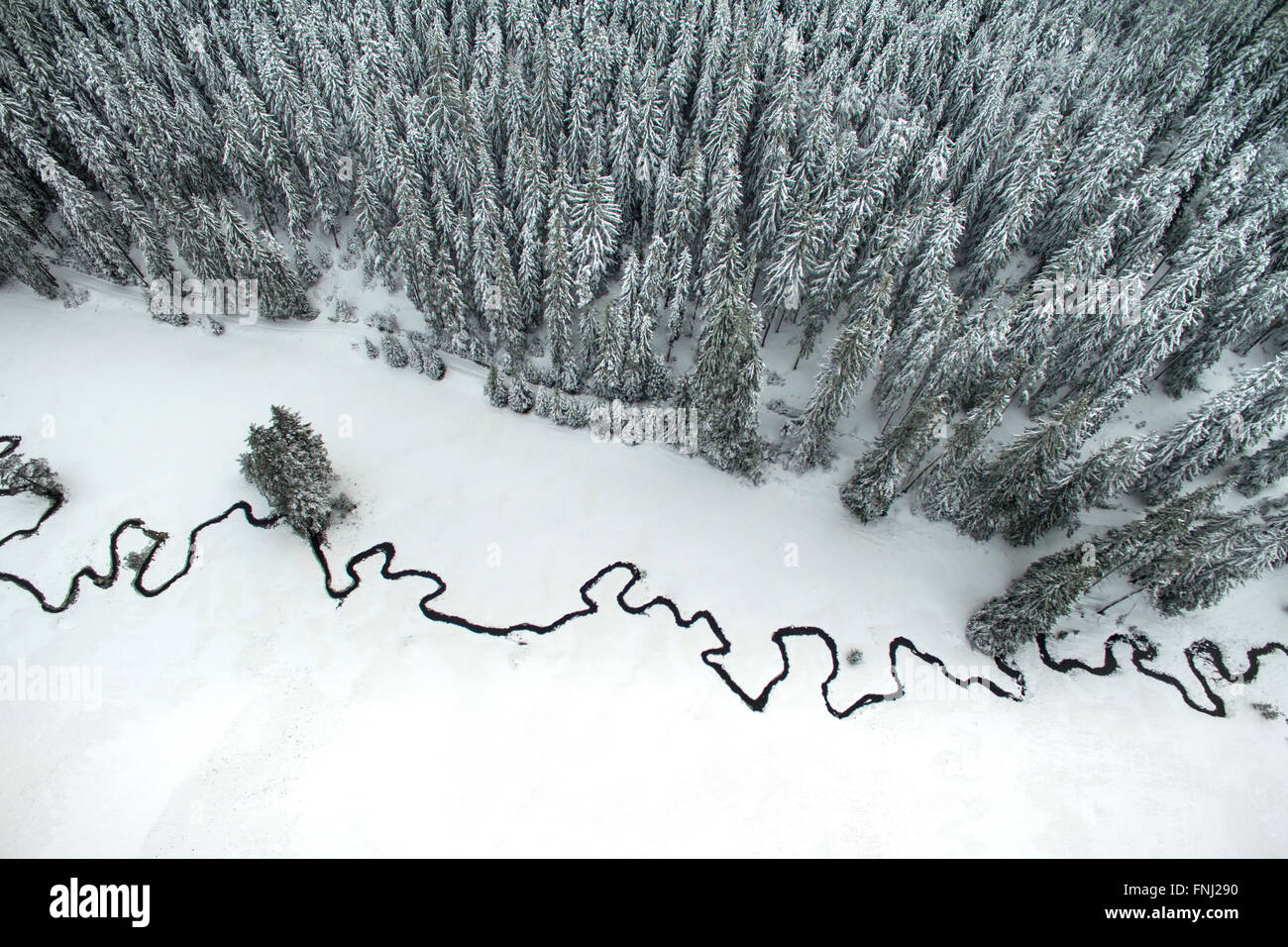 Paysage d'hiver de l'antenne de pins et d'un peu d'eau méandrique. Banque D'Images