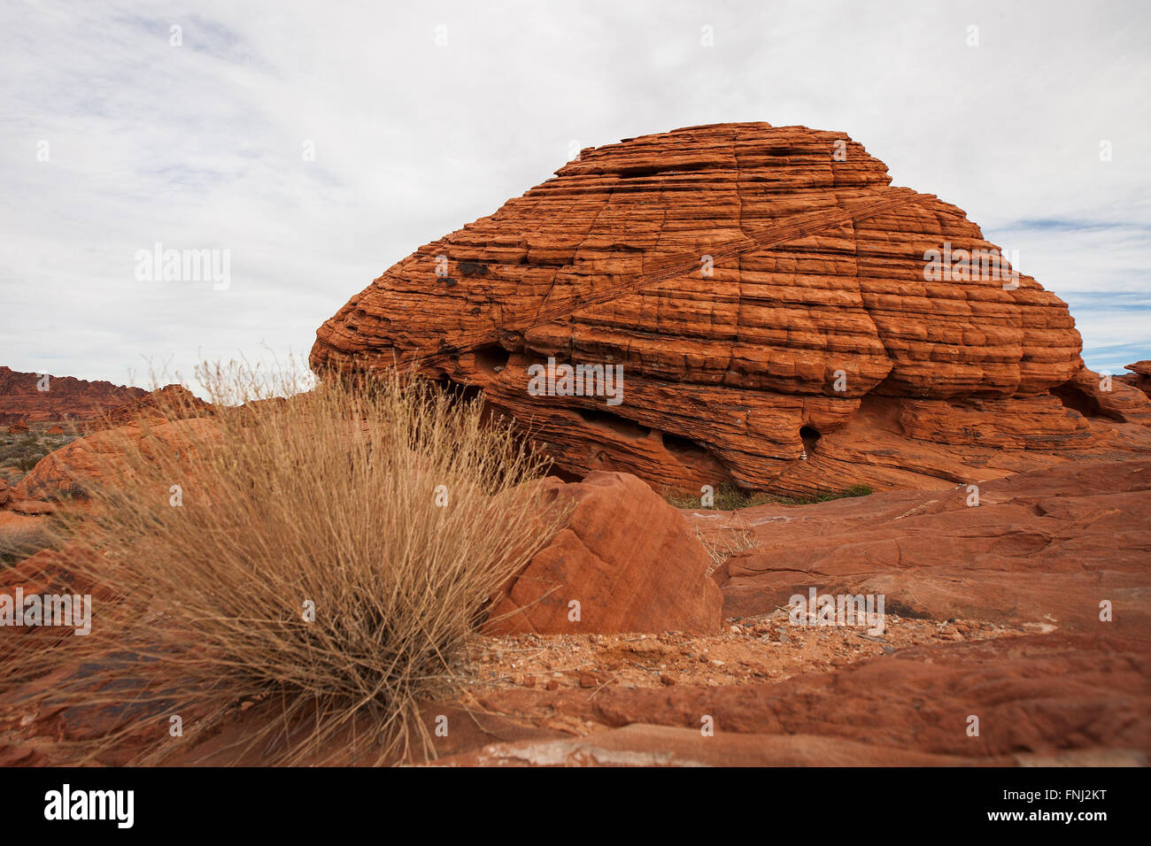 Ruches, Vallée de Feu Park, Nevada, United States of America Banque D'Images