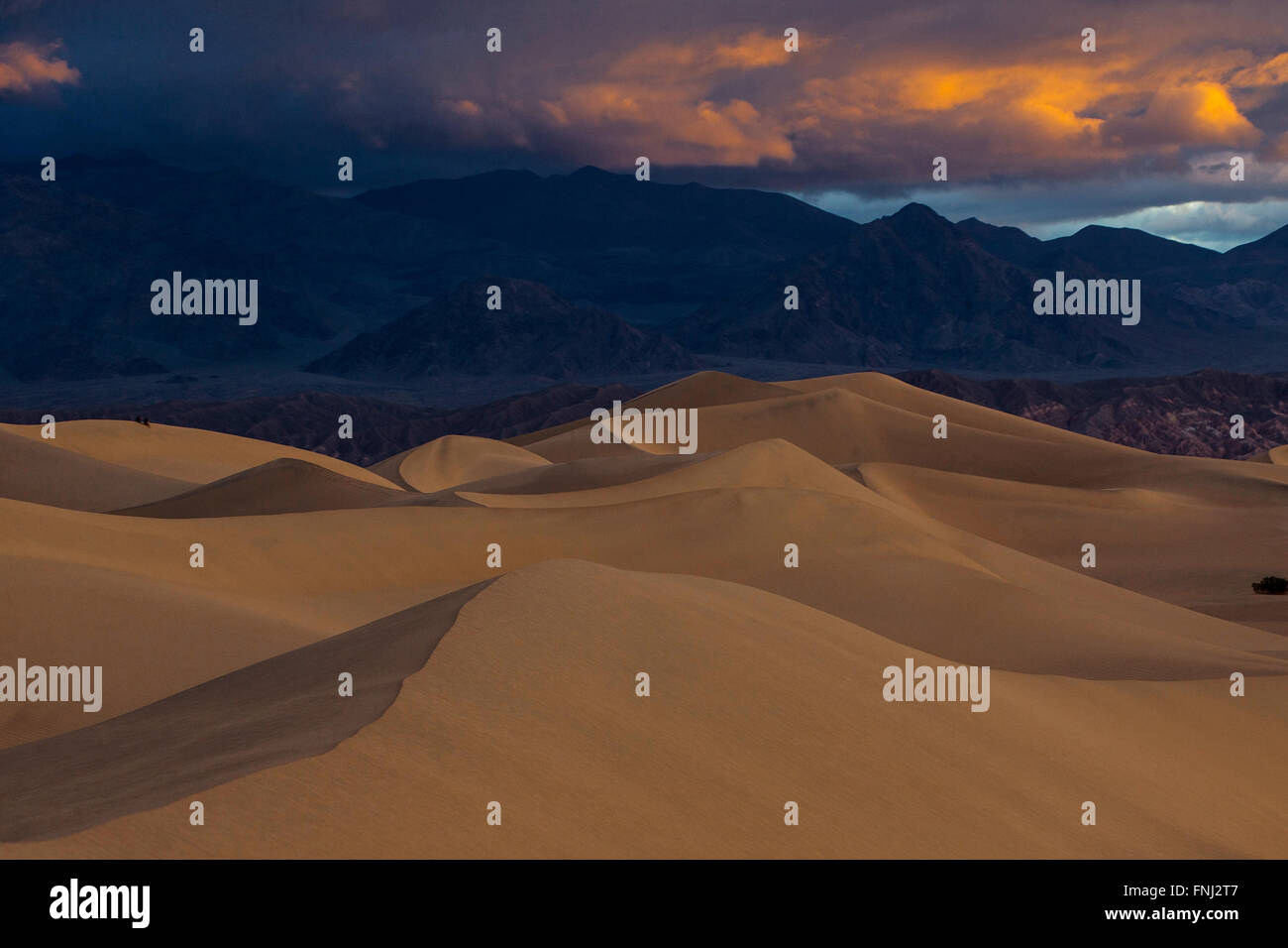 Mesquite Dunes au lever du soleil, la Death Valley National Park, California, United States of America Banque D'Images