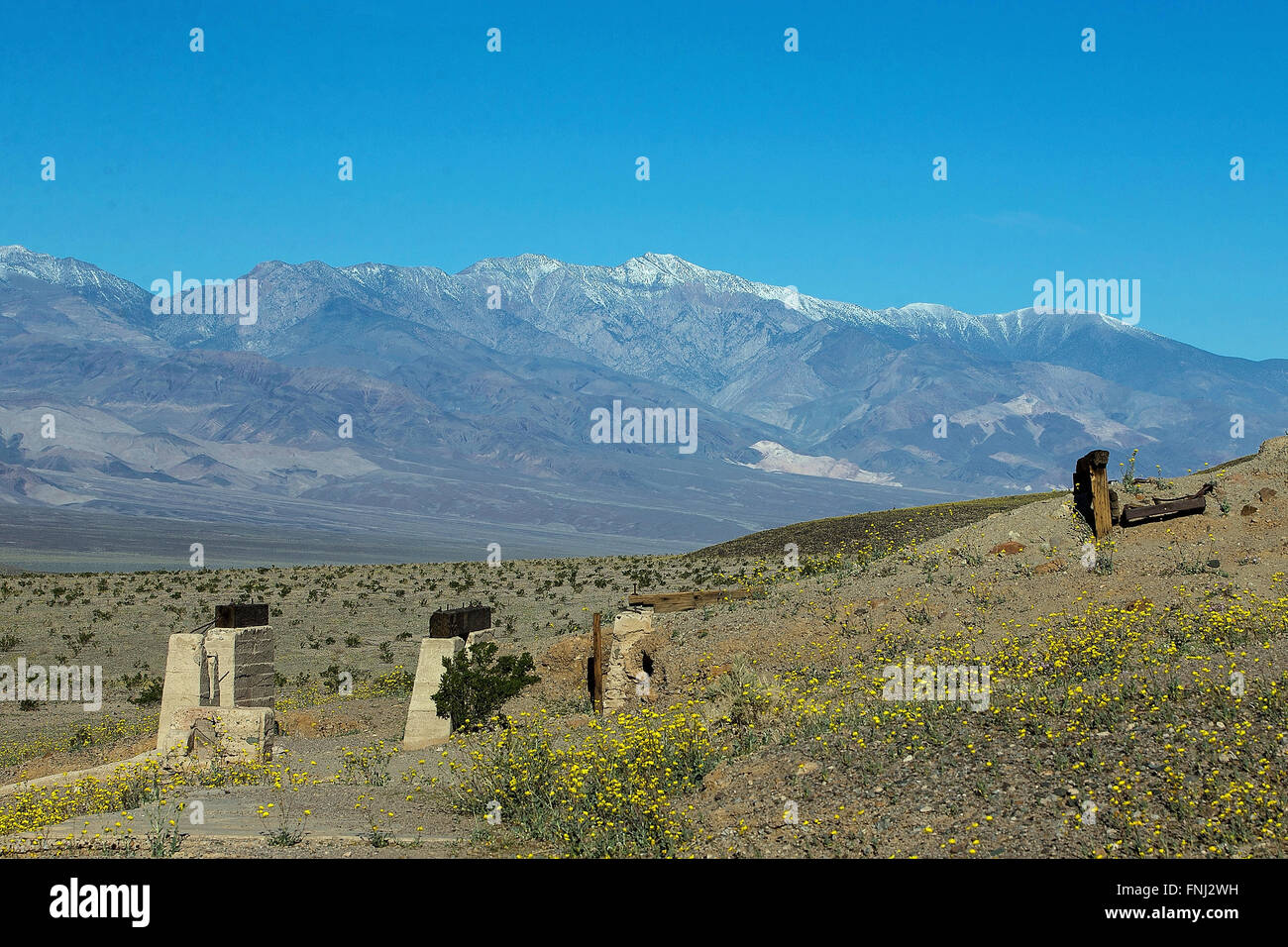 Ashford Mill ruins, Death Valley National Park, California, United States of America Banque D'Images