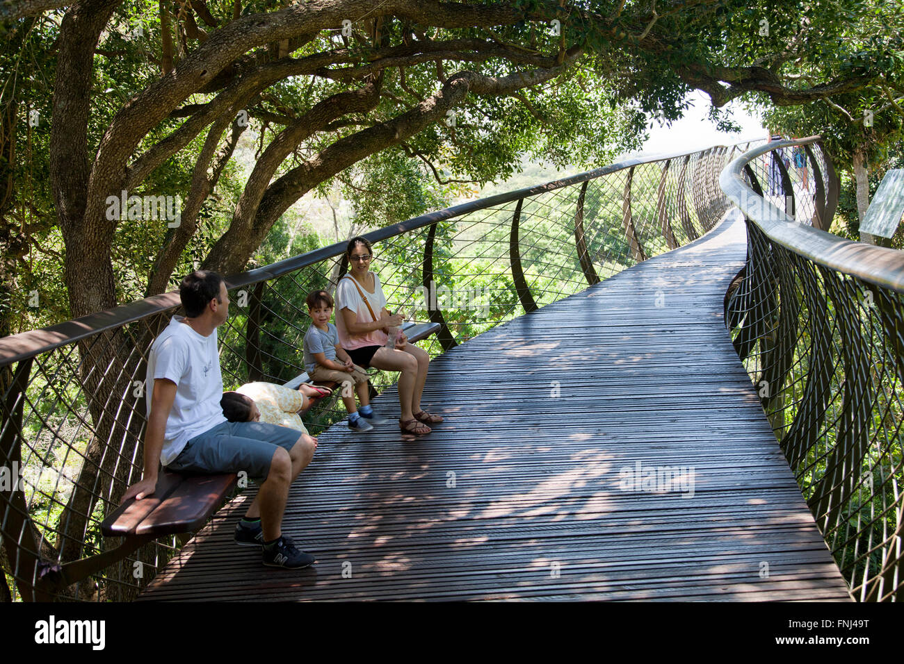 Canopy Walkway Boomslang à Kirstenbosch National Botanical Garden à Cape Town - Afrique du Sud Banque D'Images