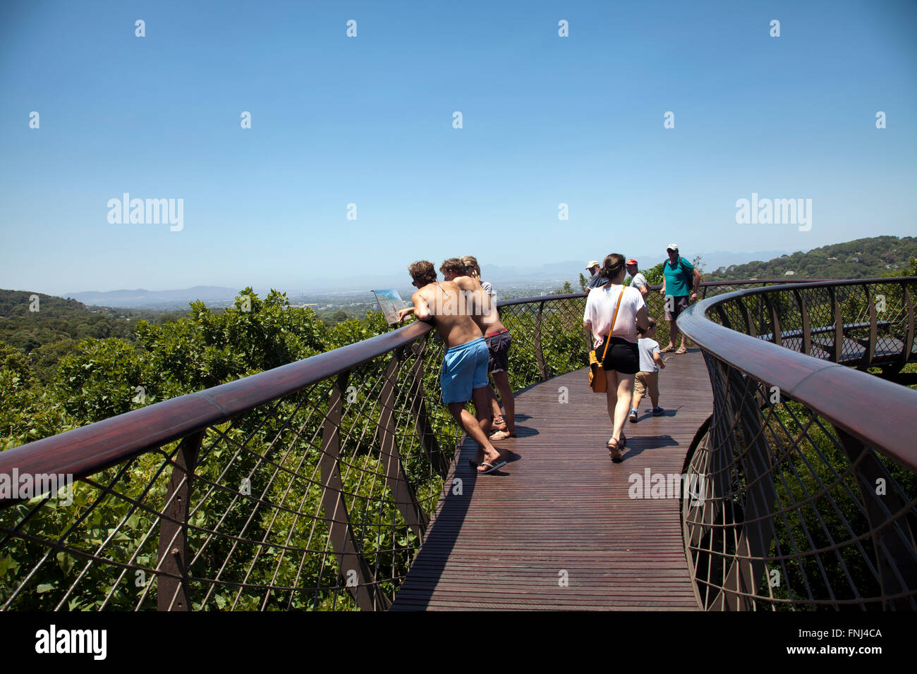 Canopy Walkway Boomslang à Kirstenbosch National Botanical Garden à Cape Town - Afrique du Sud Banque D'Images