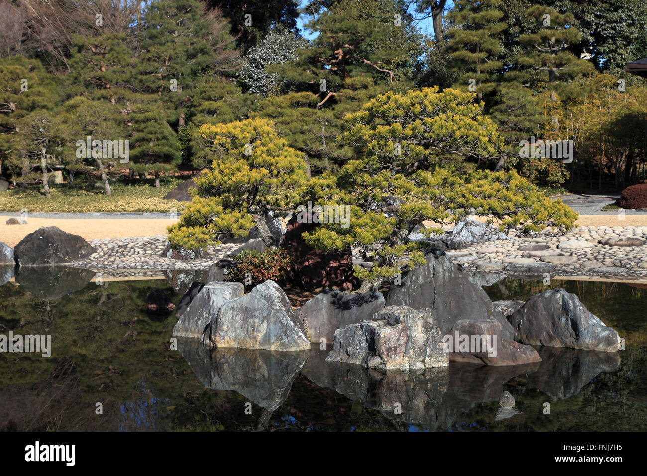 Le Japon, Kyoto, le château de Nijo, jardin, Banque D'Images
