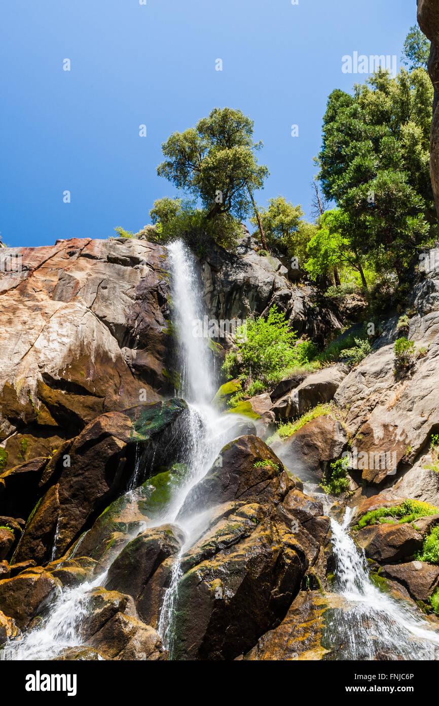 Grizzly Falls est probablement la plus belle chute d'eau sur un tour typique dans la section de Cedar Grove Sequoia National Fores Banque D'Images