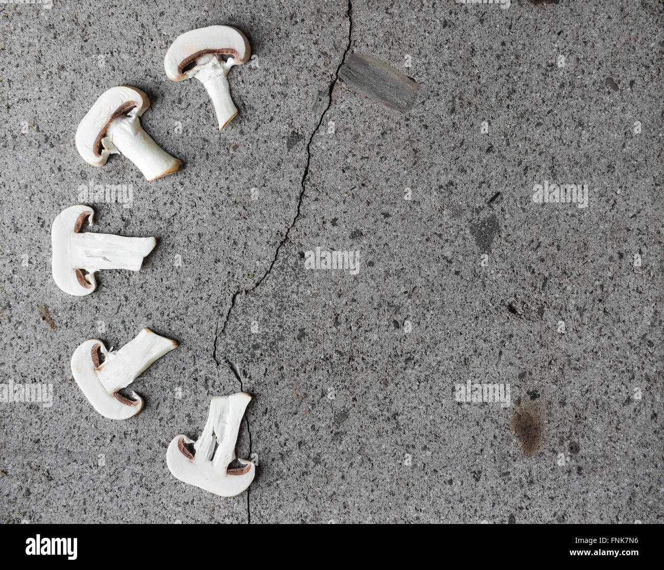 Les tranches de champignons sur une plaque à pâtisserie pour le fond - pierre Banque D'Images