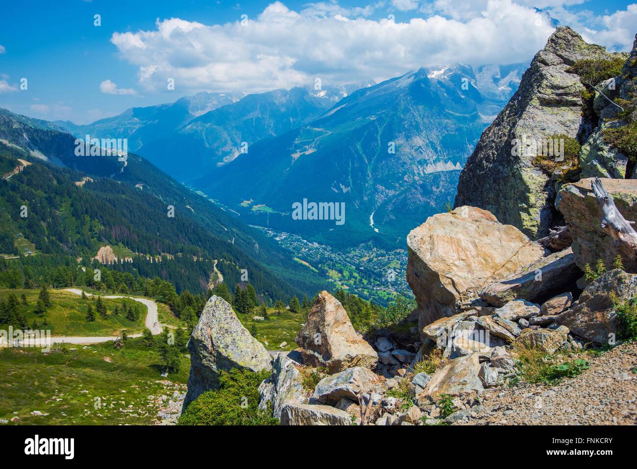 Chamonix Montagnes Paysage d'été. Paysage alpin français. Vallée de Chamonix. La France, l'Europe. Banque D'Images