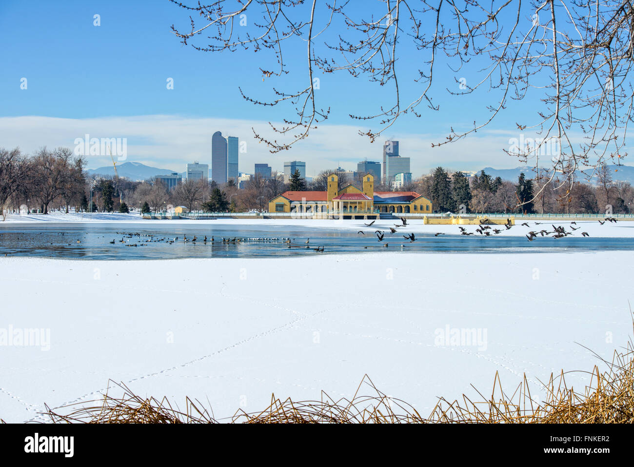 Lac d'hiver au centre-ville de Denver - une vue d'hiver du lac gelé dans un parc de la ville à côté de l'est du centre-ville de Denver, Colorado, USA. Banque D'Images