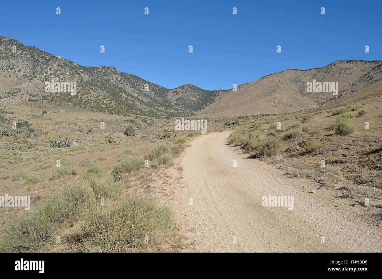 Route de terre désert solitaire dans le désert de Mojave. Ciel bleu des collines stériles. Banque D'Images