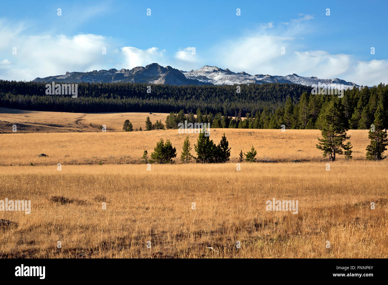 WY01289-00...WYOMING - de vastes prairies de Dickinson Park et la plage de Wind River au-delà. Banque D'Images