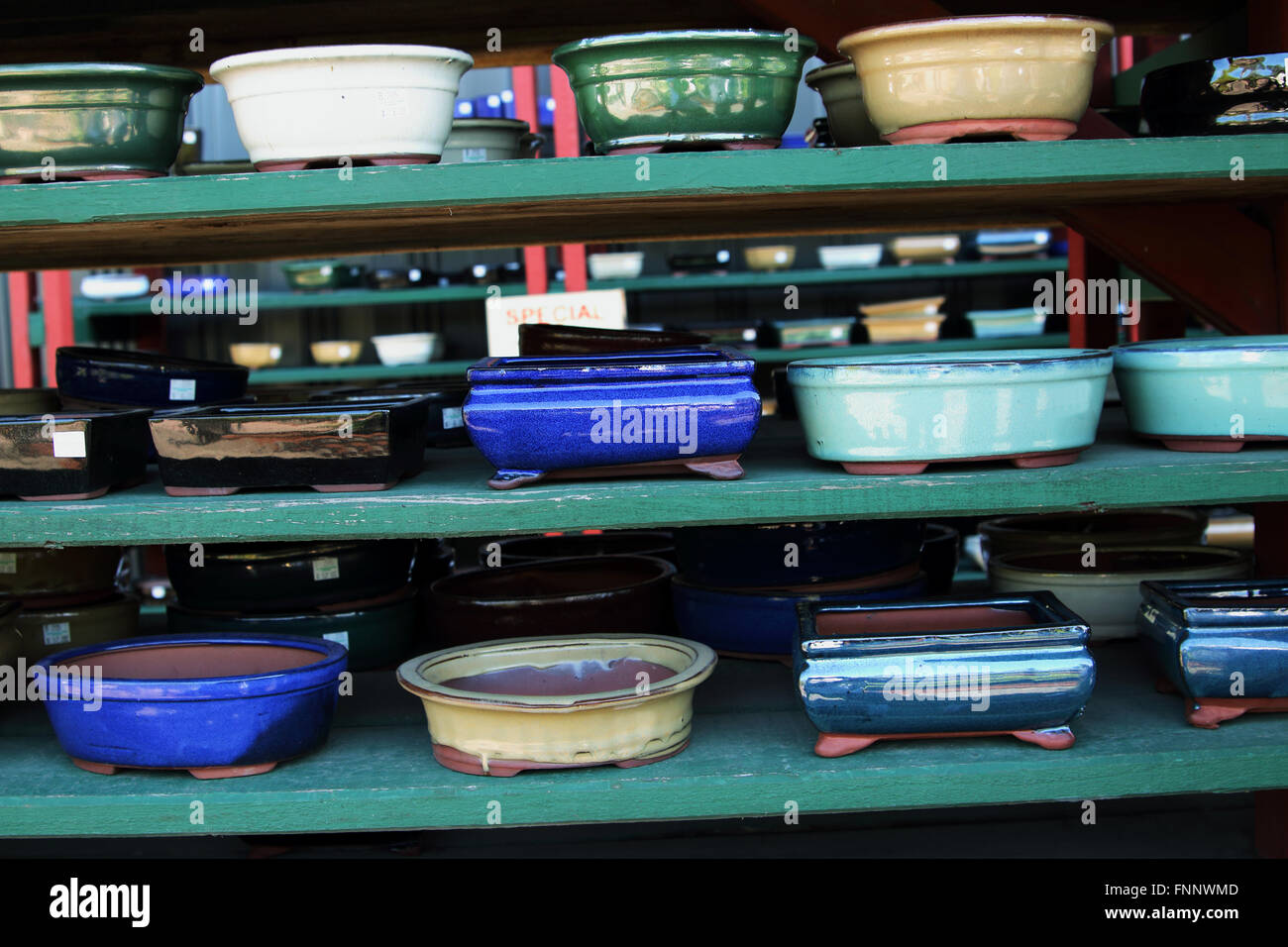 Bonsai pots de céramique à vendre Banque D'Images
