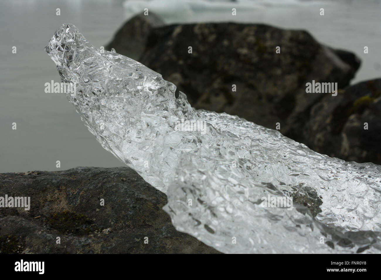 Libre de glace, Juneau Alaska Banque D'Images