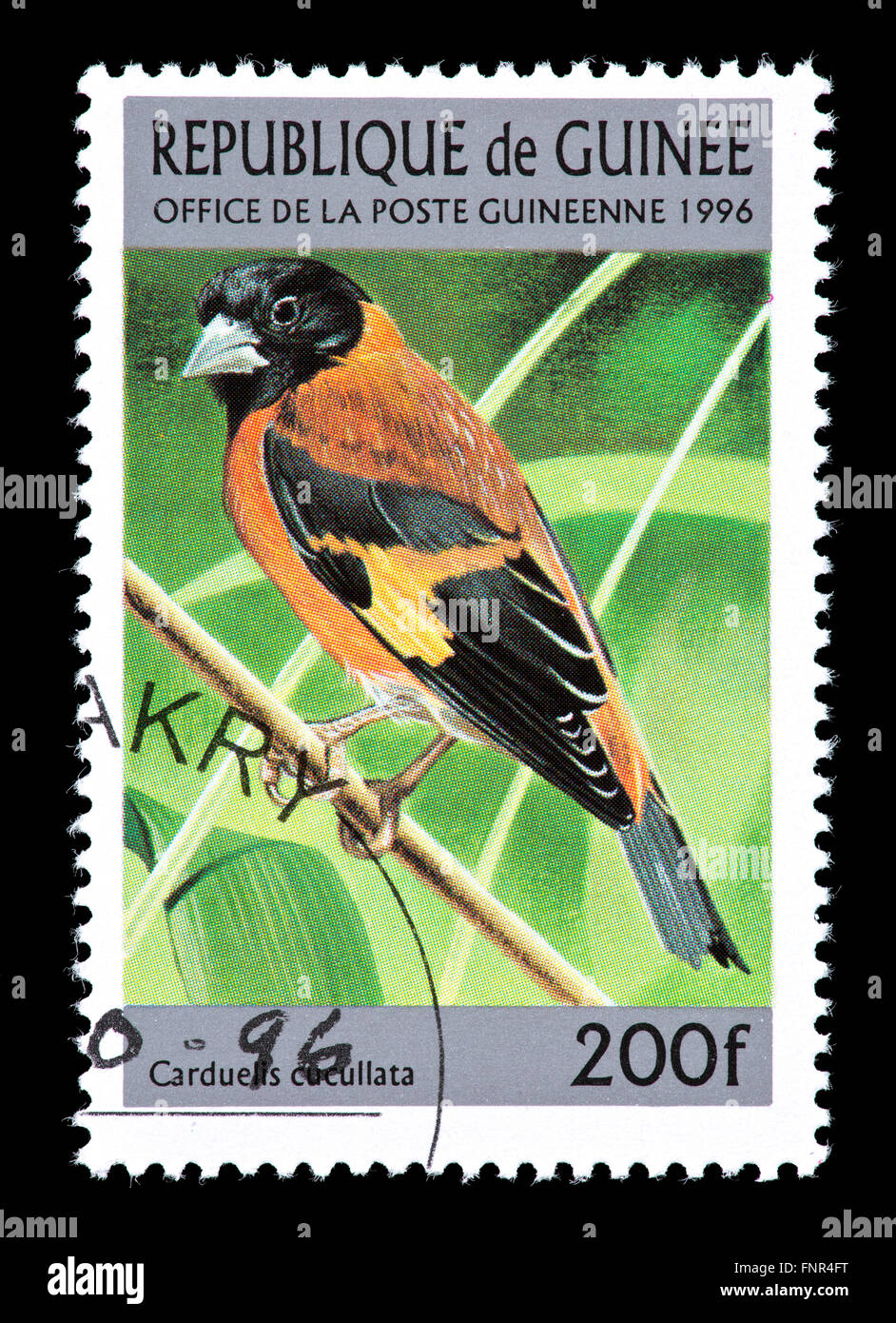 Timbre-poste représentant de la Guinée (Spinus tarin rouge cucullata) Banque D'Images