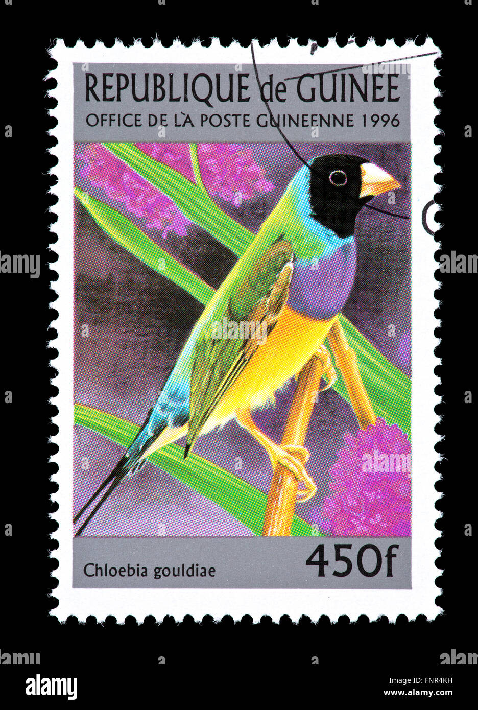 Timbre-poste à partir de la Guinée représentant un Gouldian finch (Chloebia gouldiae) Banque D'Images