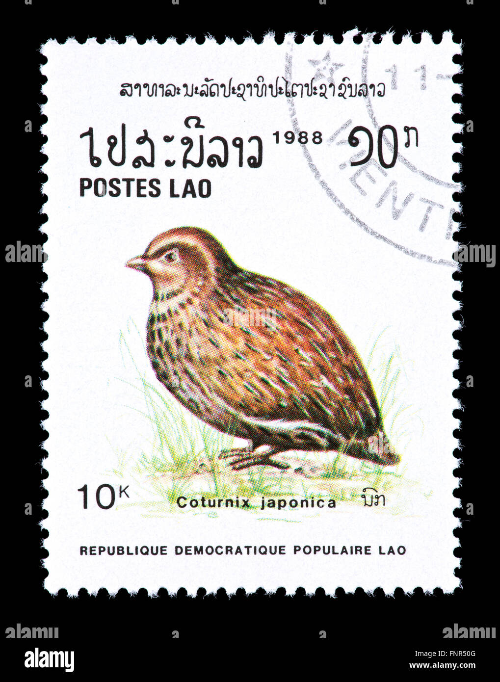 Timbre-poste du Laos décrivant la caille japonaise (Coturnix japonica) Banque D'Images