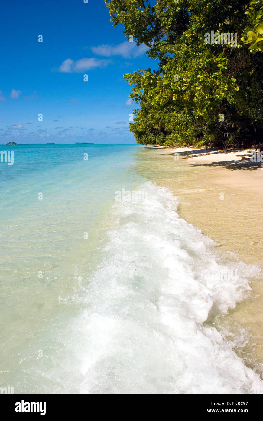 L'image d'une plage sur une île tropicale Banque D'Images