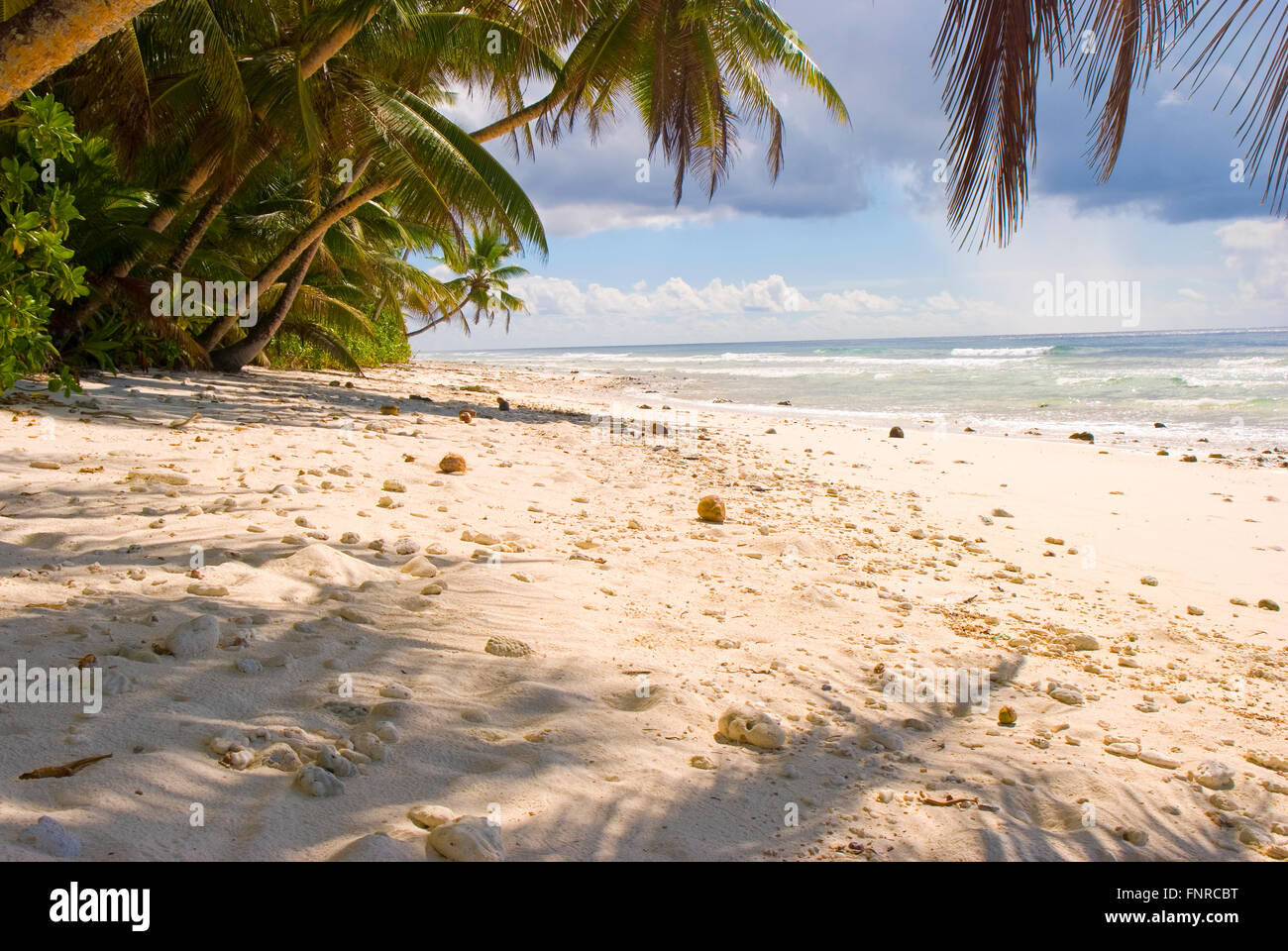 Une plage sur une île tropicale Banque D'Images