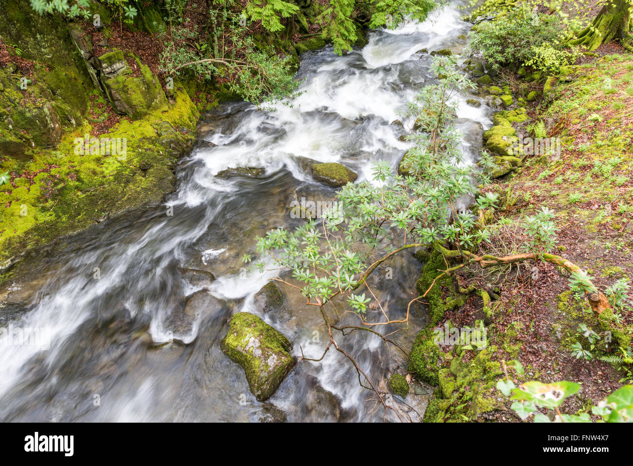 Rydal Falls - belle cascade près de Rydal Mount, Lake District, UK Banque D'Images