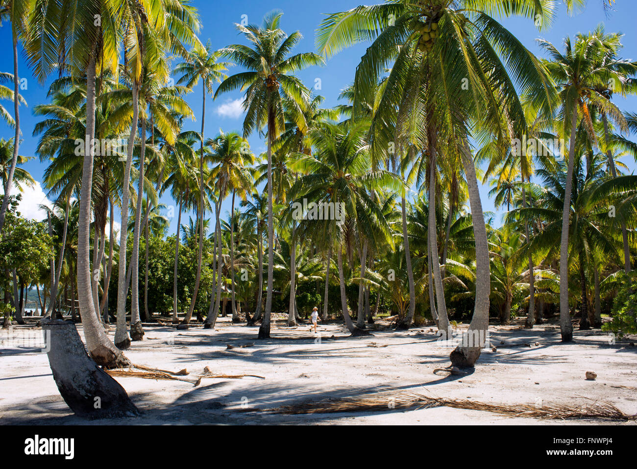 France french polynesia tahaa island Banque de photographies et d ...