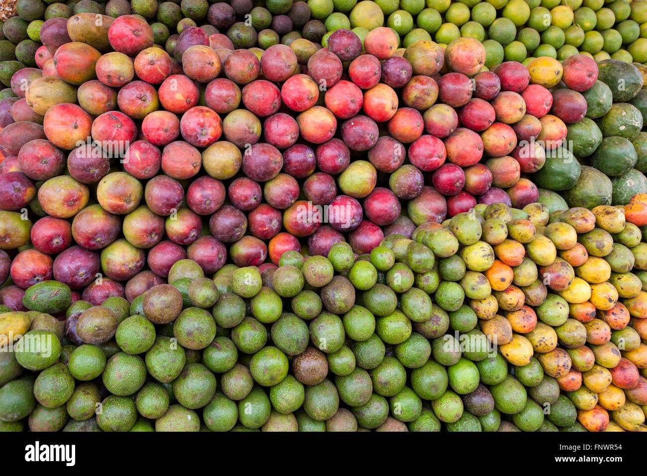 Les fruits et légumes frais pour la vente par le côté de la route à Addis Ababa, Ethiopie. Banque D'Images