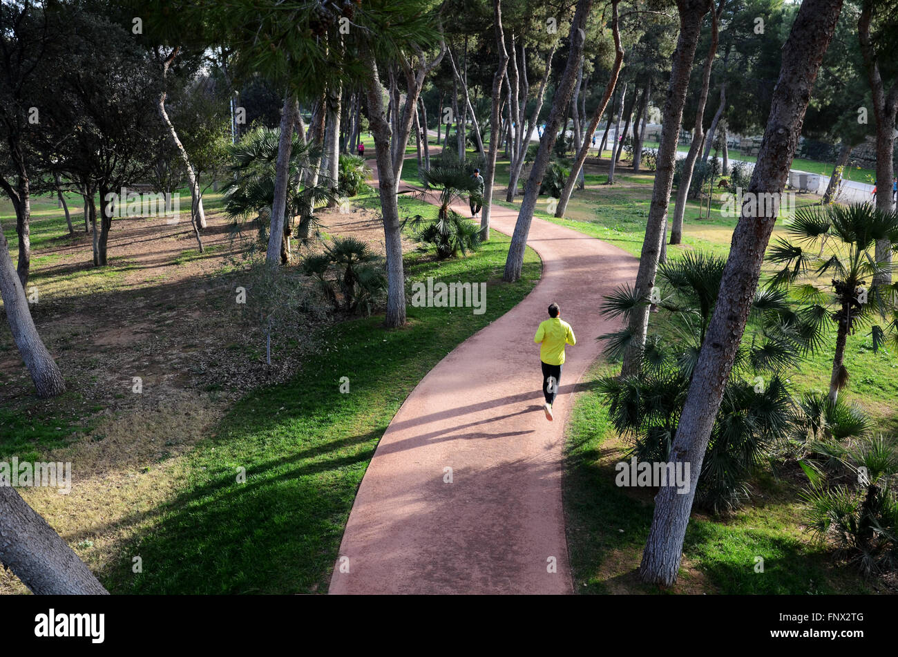 Le jogging dans le Jardin del Turia, Valencia Espagne Banque D'Images