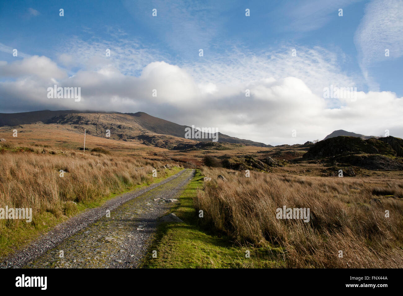 Snowden a Wyddfa du chemin d'Rhyd-Ddu Rhyd-Ddu au nord du Pays de Galles Snowdonia Gwynedd Banque D'Images