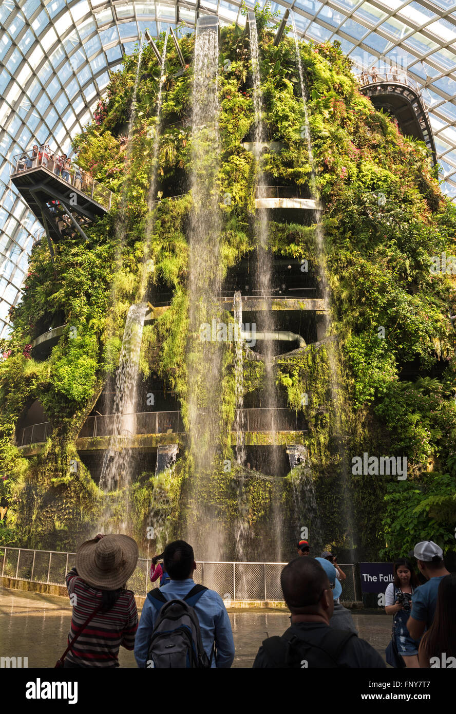 Singapore-March,2016.La plus grande cascade intérieure dans les nuages du Jardin de jardins sur la baie de Singapour, Mars Banque D'Images