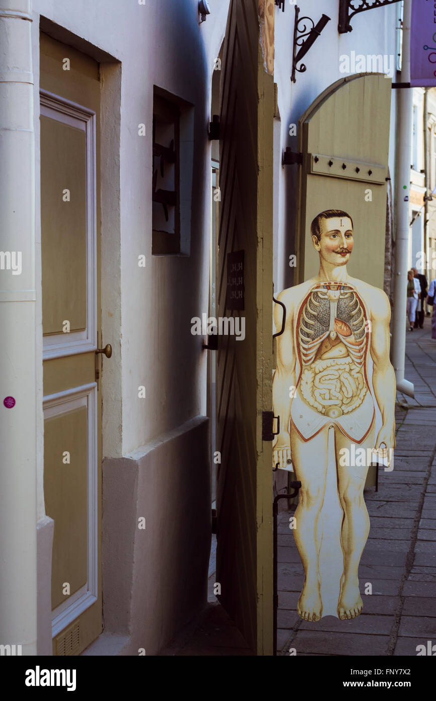 TALLINN, ESTONIE - YUNI 12, 2015 : Mise en page, l'homme, de diagramme médical d'organes internes les hommes. Les rues populaires de la vieille ville Banque D'Images