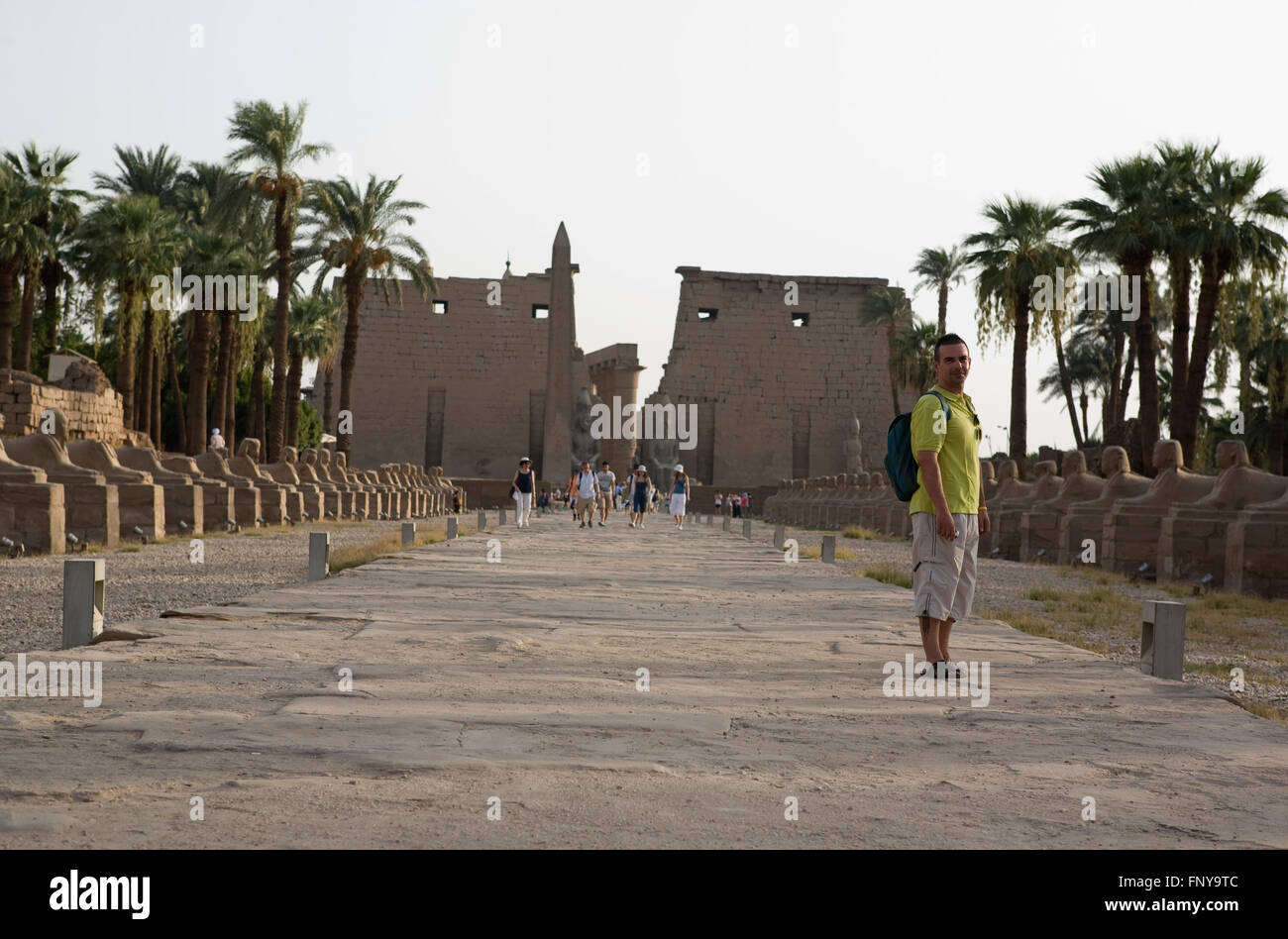Louxor, Egypte - le 19 juillet : Rangées de statues de sphinx bordant la route dans le temple de Louxor, anciennement Thèbes. Le 19 juillet 2010 Luxor, Egyp Banque D'Images