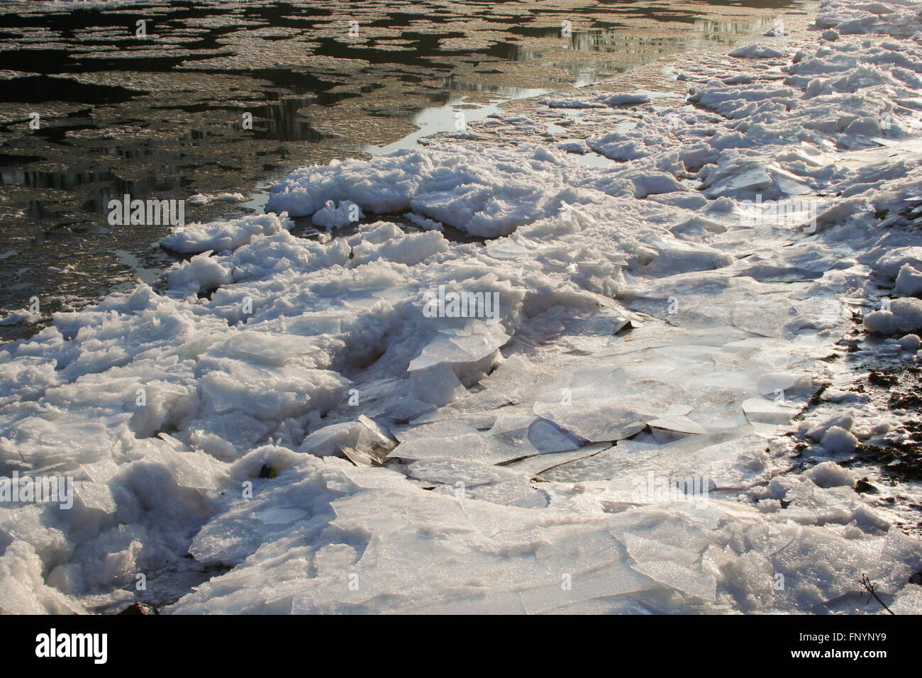 Les feuilles de glace sur la rivière Banque D'Images