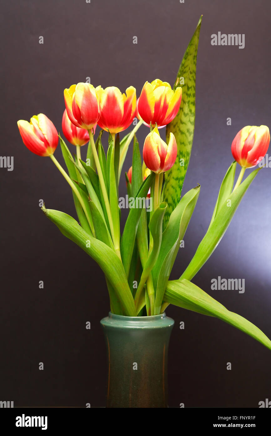 Bouquet de tulipes dans joli vase en céramique sur fond sombre Banque D'Images