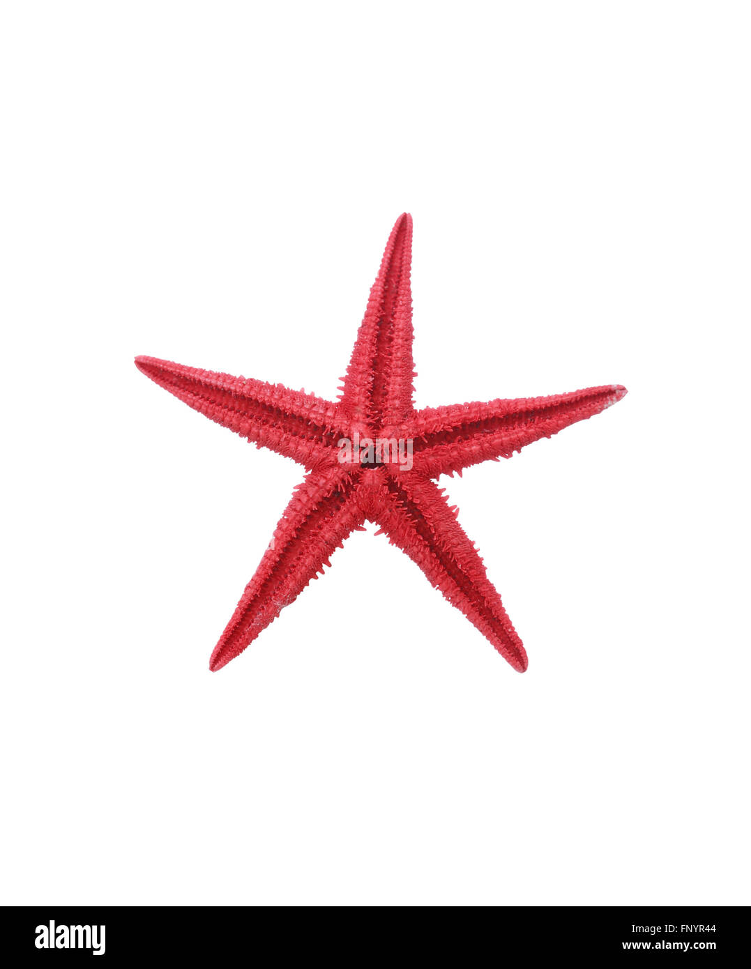 Une étoile rouge sur fond blanc. Isolé avec clipping path Banque D'Images