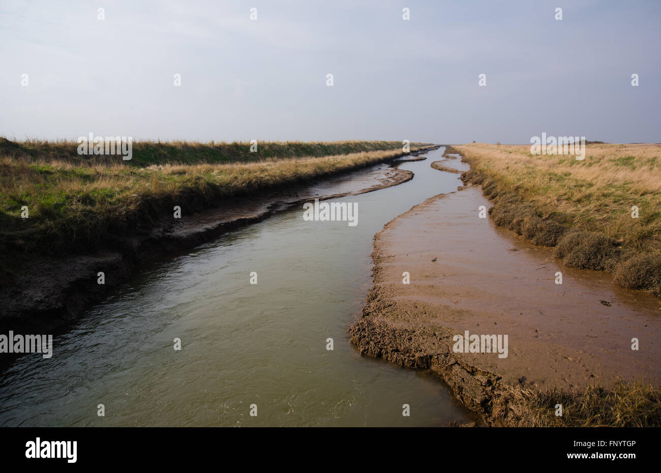 Pye's Hall Sluice, sept villes Eau, Donna Nook National Nature Reserve, Lincolnshire, Royaume-Uni. Banque D'Images