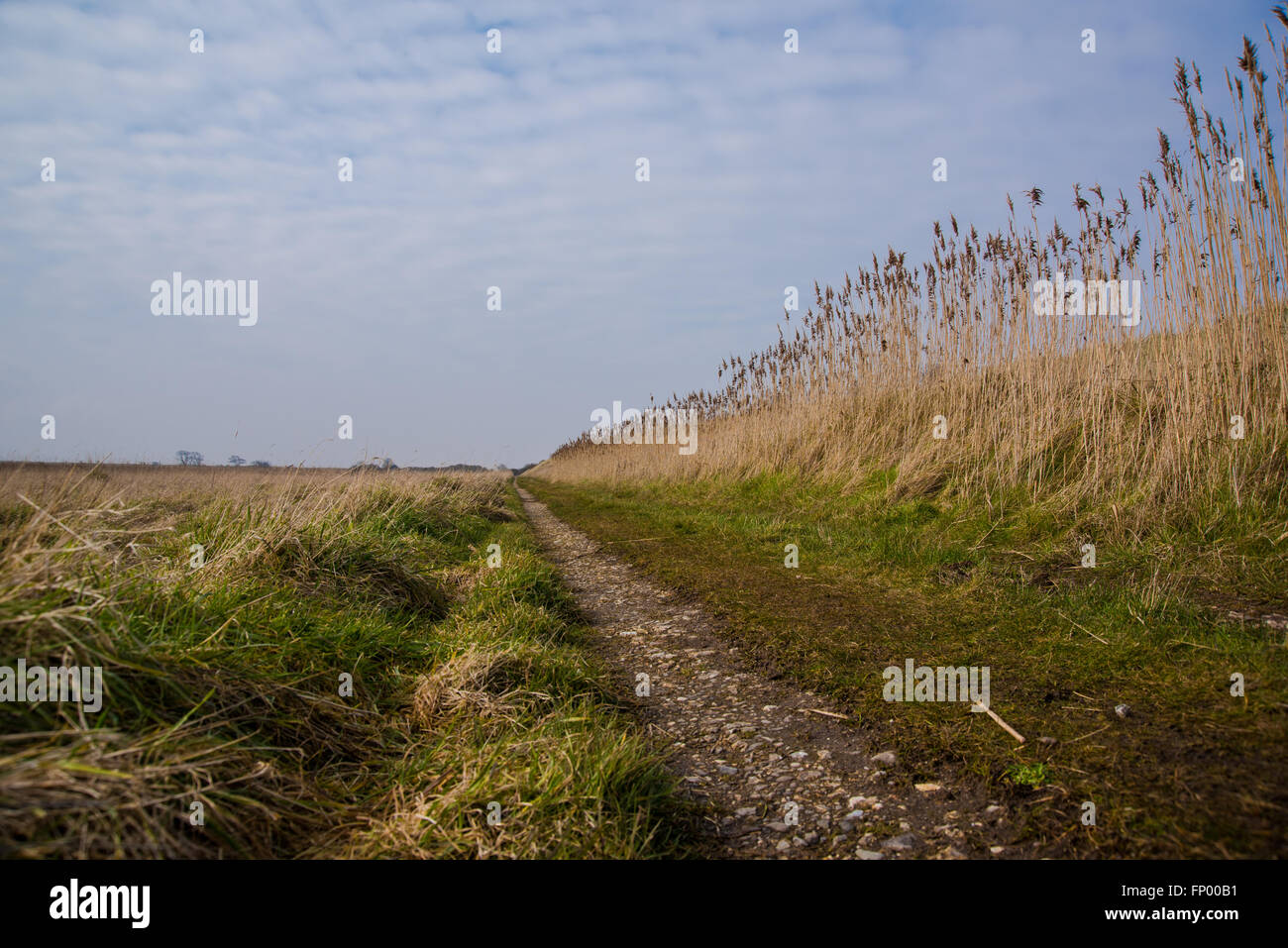 Un faible niveau en perspective de sentier 18, derrière la défense de la mer au Donna Nook Nature Reserve, Lincolnshire, Royaume-Uni. Banque D'Images